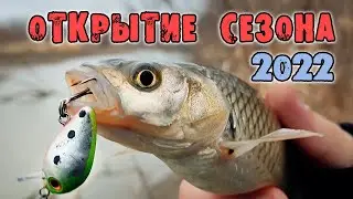 Голавль на воблеры. Открытие сезона 2022