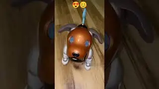 Aibo robot dog dancing 