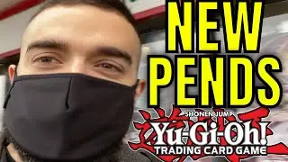THIS NEW PENDULUM DECK WILL BLOW YOUR MIND!!! *vlog gone wrong* *experts hate this guy*