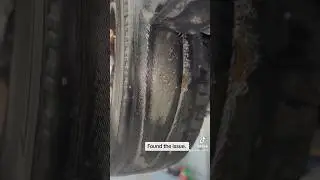 Wwyd if you tried helping someone out , and they gave you the bird. #foryou #mechanic #tire #altima