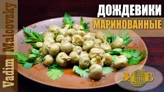 Дождевики маринованные или как замариновать дождевики. Мальковский Вадим