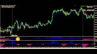 Часть9-Стратегия Fisher