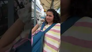 #535 Reached Hazrat Nizamuddin | Train journey begins