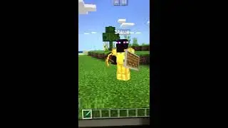 How to teleport in Minecraft