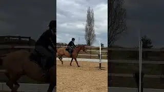 Pete 👌 #horseriding #horse #short #equestrian #crosscountry #lifeafterracing #loveyourror #lovepete