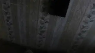Вано поёт 'Три, три жопу об забор'