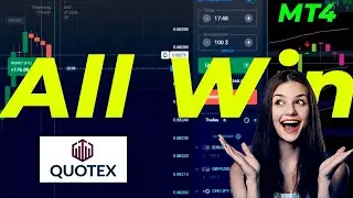 Best mt4 indicator || Daily 1000$ Profit | Premium MT4 Indicators Free Download 2024
