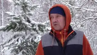 Ни о чем.