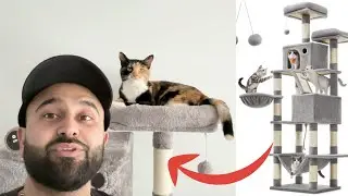I bought a Feandrea Cat Tree from amazon