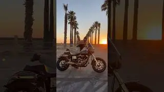 West Coast Sunsets 🌴⚡️ | Trev’s FXDLS