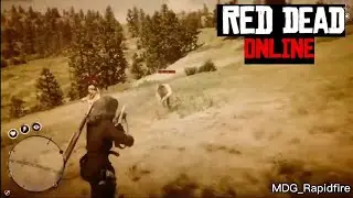 MDG_Lynx takes on Posse in Defensive 1v4 Part 1 #gaming #reddeadonline #freeaim