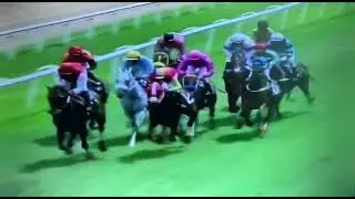 United Insurance Derby Day 2012