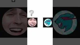 This YouTuber Uploaded a MrBeast Video To His Own Channel, And Its His Most Popular Video