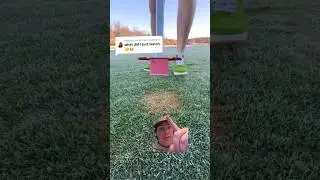 Lawn Spot Repair - Why?