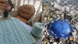 Прогулка и вязание/Много медуз на набережной/Продвижение проэктов 