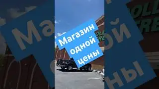 Все по $1.25, магазин Dollar Tree #жизньвсша #сша #скидки #шопинг #иммиграция