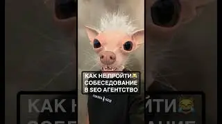Как НЕ пройти собеседование в SEO агентство Rush Agency 
