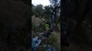 When everything works out perfectly. Bowhunting red stag spot and stalk self filmed! #bowhunting