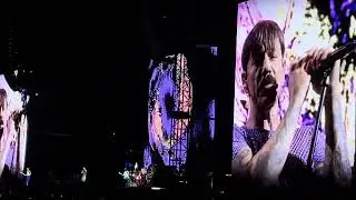 Red Hot Chili Peppers - Californication (Live in Tokyo 2024)
