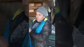 10 рублей за ящик #garlic #чеснок ящик для сушки чеснока