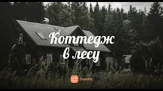 Коттедж в лесу | Истории для сна #13 | Hapday