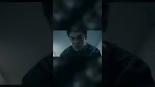Загон для собак #shorts