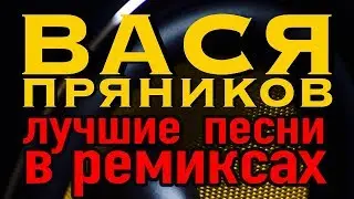 Вася Пряников - Лучшие песни в ремиксах (Альбом 2018)