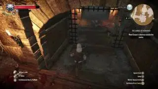 The Witcher 3: Wild Hunt - Saved by The Force?