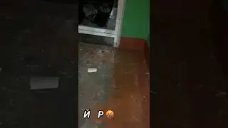Все стекла выбило… видео откладывается