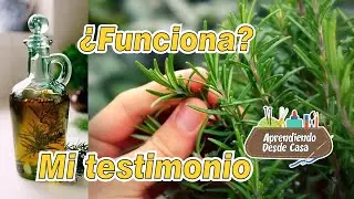 Mi Testimonio: ¿ Funciona el Romero para las canas ?