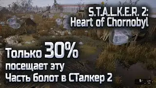 Это замечает только 30% игроков, схроны и артефакты на Болотах в Сталкер 2