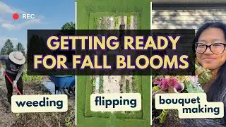 What it’s like flower farming in July
