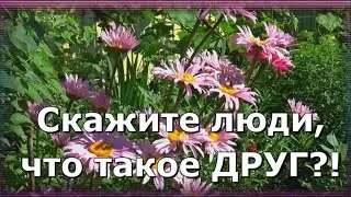 Скажите, люди, что такое ДРУГ! Что значит дружба и родство души?!
