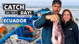 ECUADOR COAST FISHERMEN (OLON, DAILY CATCH!)