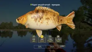Наконец открыл Янтарное озеро!😍 Точки на Янтарке!
