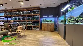 MEJOR TIENDA ACUARIOFILIA MADRID | Pez Verde
