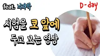 시험 직전 반드시 알아야 할 두가지 ㅣ 뇌과학, 수능, 임용고시, 공시, 수험생, 시험