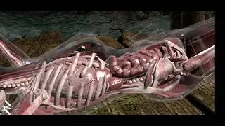 Mk11 mobile all my characters XRAY. Jade xray is the worst for men