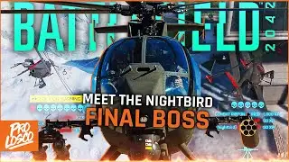 When you meet the Nightbird FINAL BOSS..