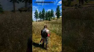 Как работаю решейды в скайриме || Skyrim SE Reflyem            