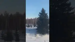 12 марта 2024 г.