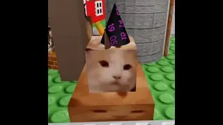 Party Gato Showcase