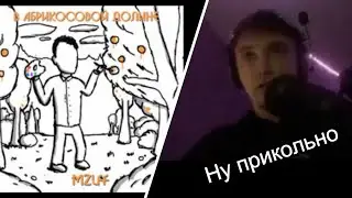 Серега Пират слушает в абрикосовой долине / mzlff