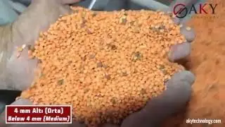 Lentils Peeling and Splitting Plant