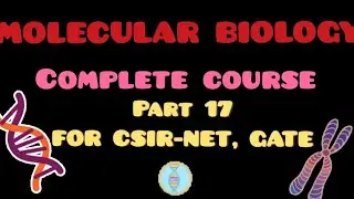 AMINOACYLATION OF tRNA | CSIR NET | GATE | IIT JAM | DBT | NEET | ICMR | MSC | B.SC