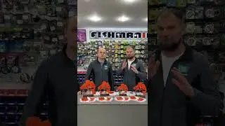 19 сентября 2024 г.