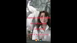 🔥 УБИРАЕМ ПРЕПЯТСТВИЯ НА  ПУТИ ЖИЗНИ С   ГУРУ РИНПОЧЕ 🙏 ЧИТАЕМ МАНТРУ 108 РАЗ