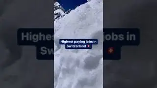 Highest Paying Job in Switzerland🇨🇭 