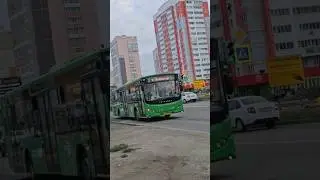 Volgabus-5270.G2 ( CNG ) ео 558 74,маршрут 8| Volgabus-5270.G2 ( LNG), ео 334 74, маршрут 64