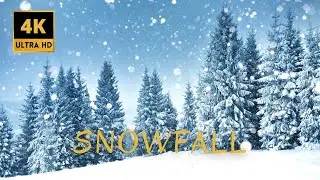 🌨☃️❄️ SNOWFALL, BEAUTIFUL RELAXING HEAVY SNOWFALL WITH CALMING PIANO MUSIC 4K ULTRA HD